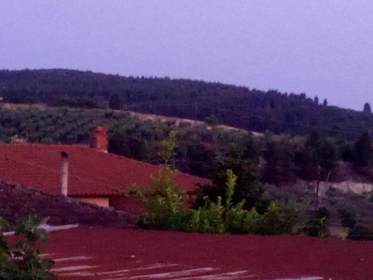 Maison Des Amis Vatopédhion Bagian luar foto