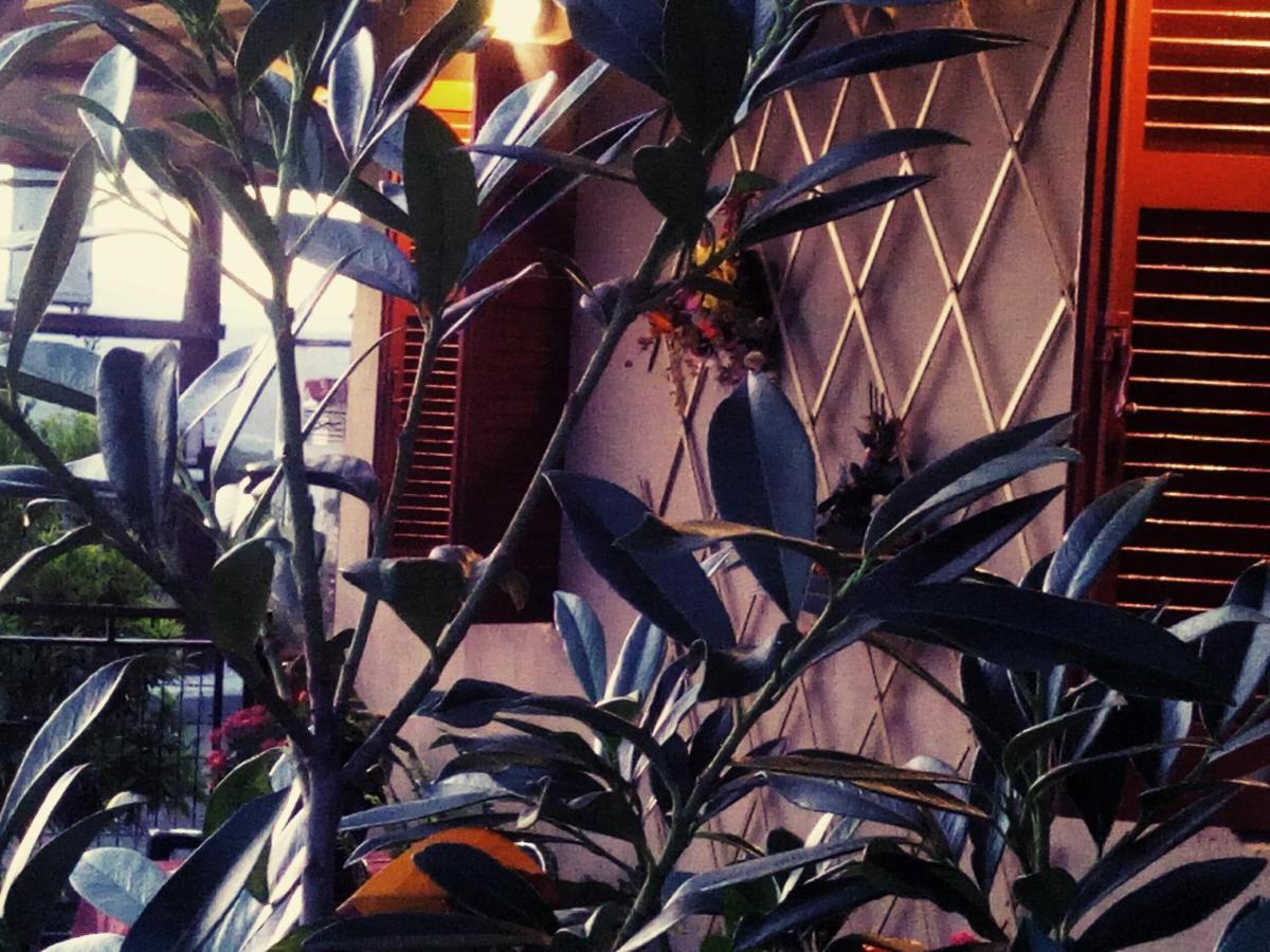 Maison Des Amis Vatopédhion Bagian luar foto