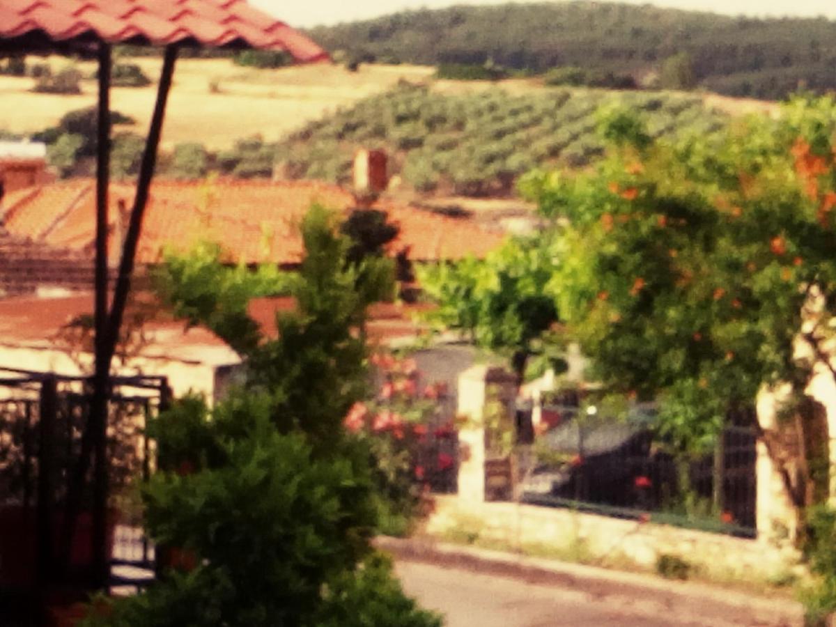 Maison Des Amis Vatopédhion Bagian luar foto